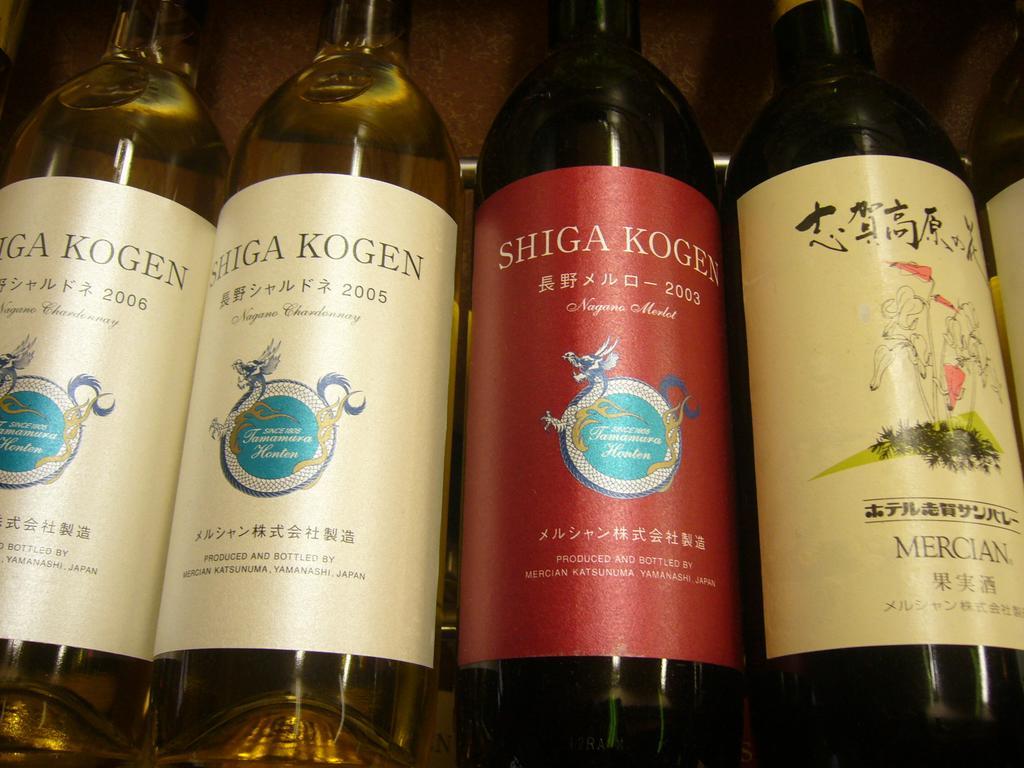 Shiga Kogen Hotel Shiga Sunvalley Yamanouchi  Eksteriør bilde