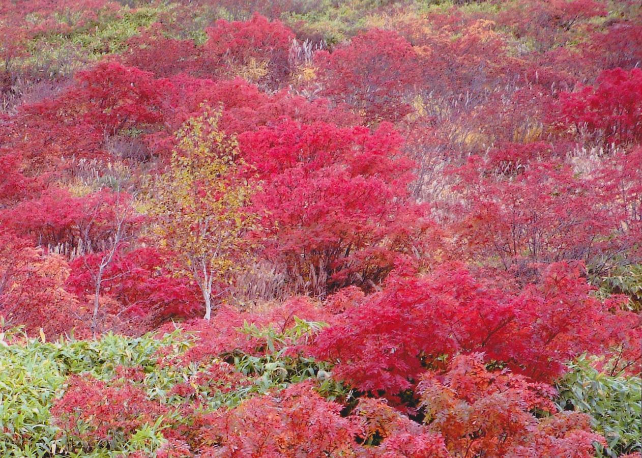 Shiga Kogen Hotel Shiga Sunvalley Yamanouchi  Eksteriør bilde